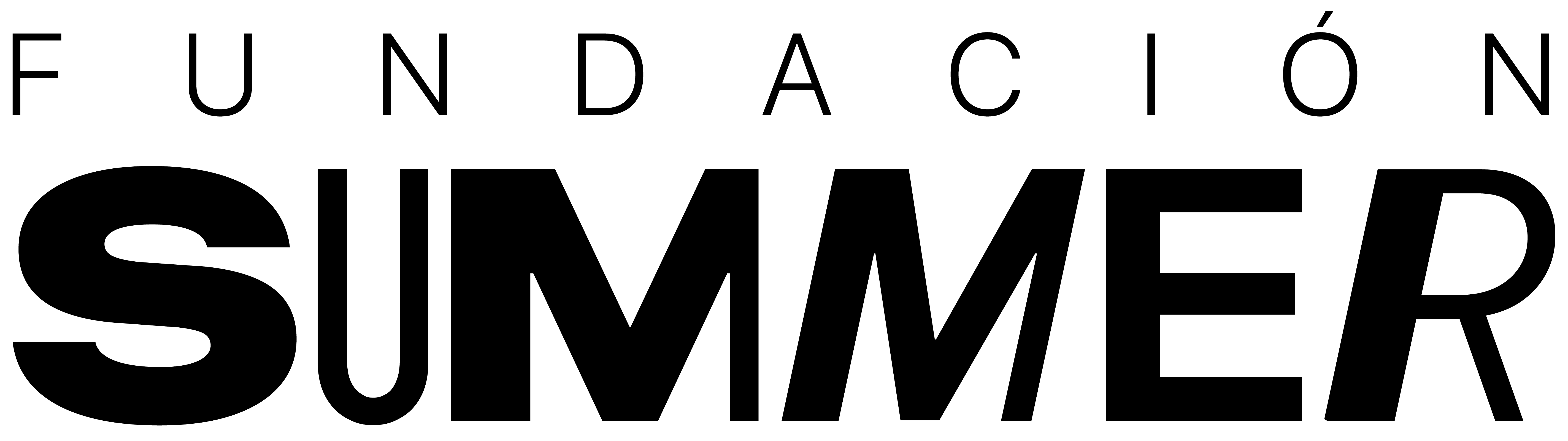 Logo de Fundación Katy Summer